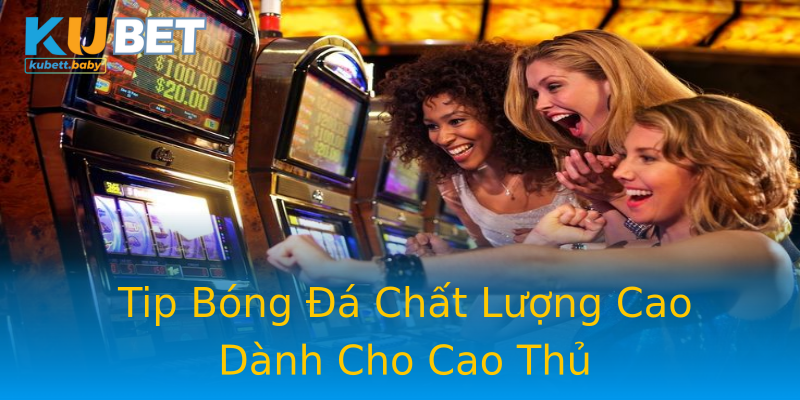 Tip Bóng Đá Chất Lượng Cao Dành Cho Cao Thủ Tip Bóng Đá Chất Lượng Cao Dành Cho Cao Thủ